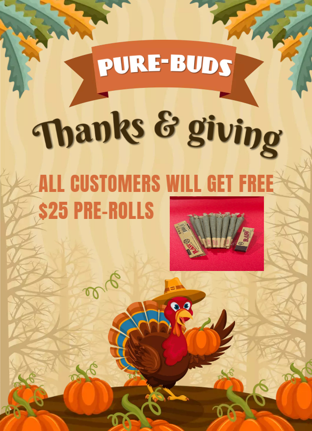 Thanksgiving Promo Deals Ads - Made with PosterMyWall