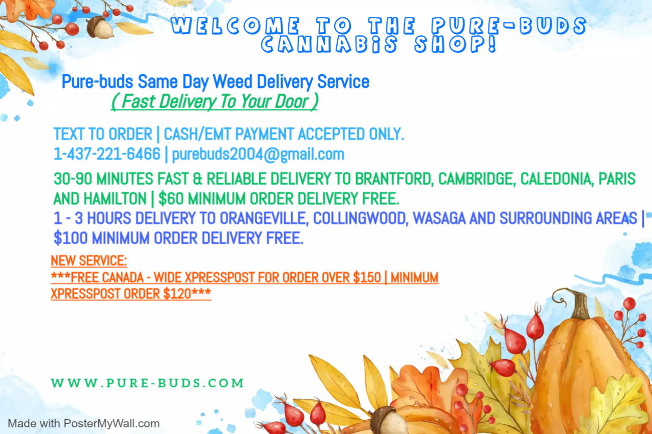 autumn sale - Made with PosterMyWall